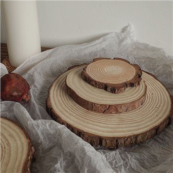 Craft Wood Slices for Decoration