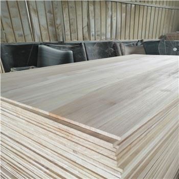 Paulownia Wood Timber Wholesale