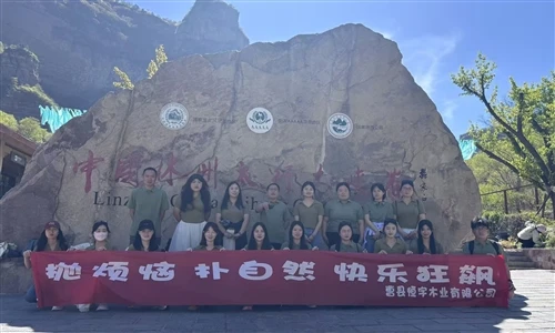 Company Team-building Activity