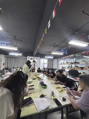 Mid-year Meeting