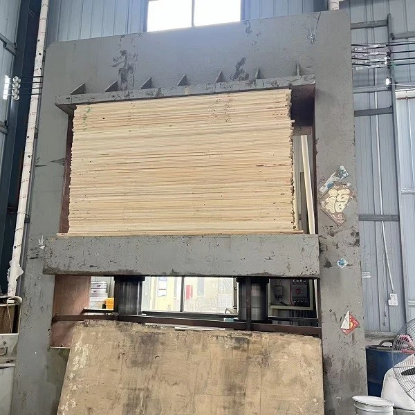 product-600-600 product-600-600