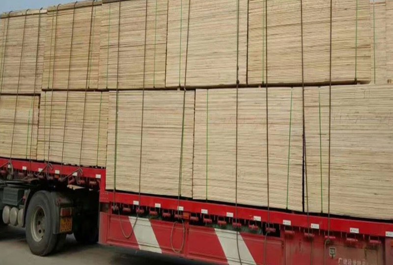 product-712-481 product-712-481