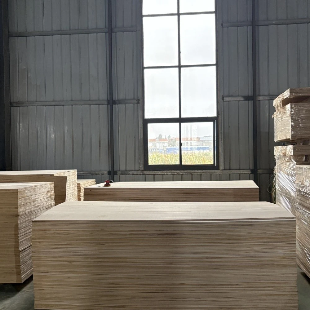 product-1000-1000 product-1000-1000